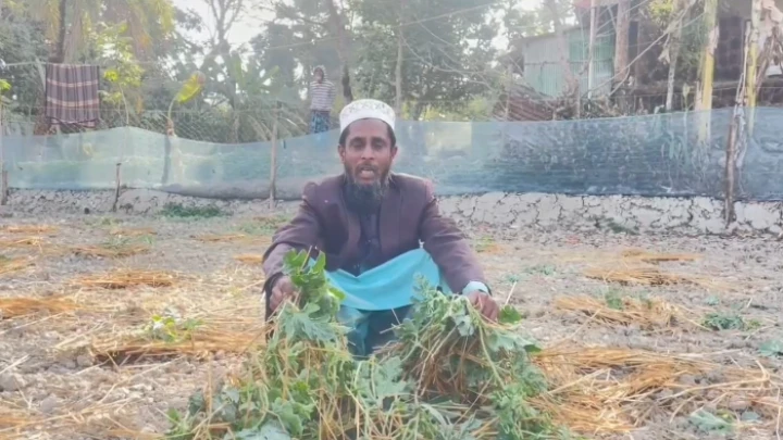 ছবি: সংগৃহীত।