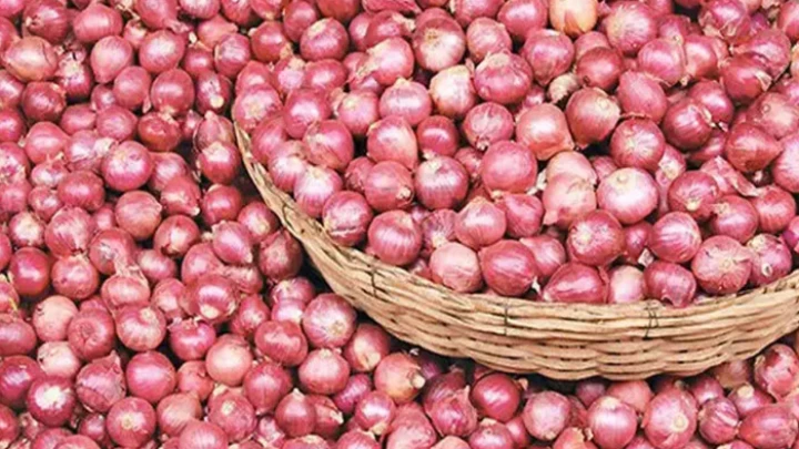 ছবি: সংগৃহীত।