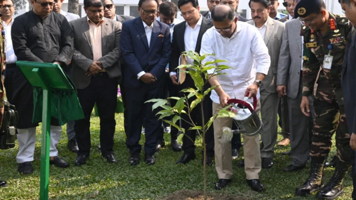 ছবি: সংগৃহীত।