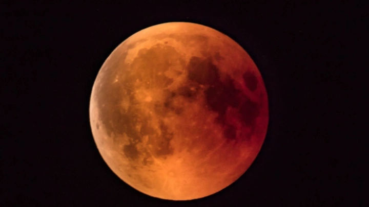 ছবি: সংগৃহীত।