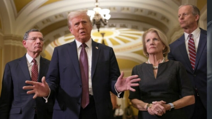 ছবি: সংগৃহীত।