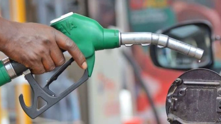 ছবি: সংগৃহীত।