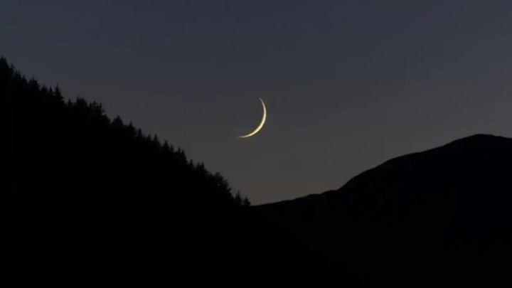 ছবি: সংগৃহীত।