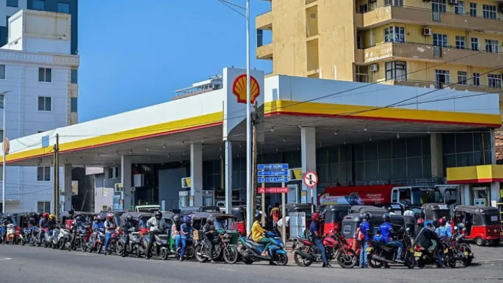 ছবি: সংগৃহীত।