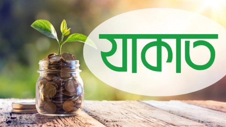 ছবি: সংগৃহীত।