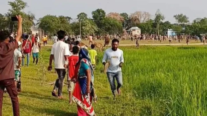 ছবি: সংগৃহীত।