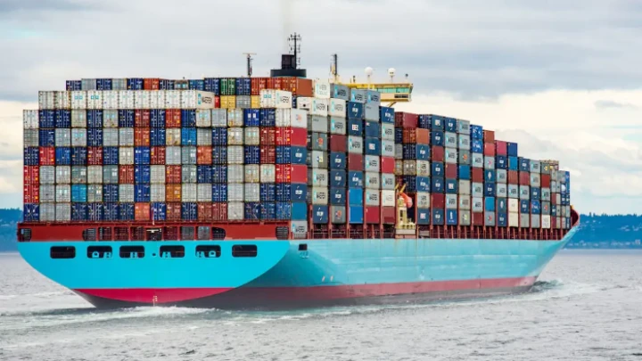 ছবি: সংগৃহীত।