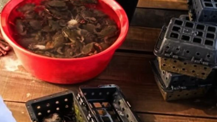 ছবি: বিএমএফ টেলিভিশন।