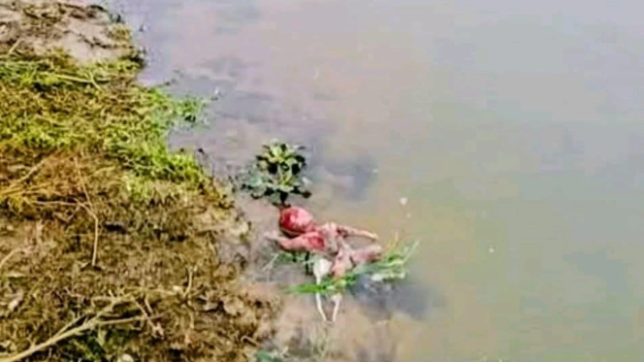 ছবি: বিএমএফ টেলিভিশন।