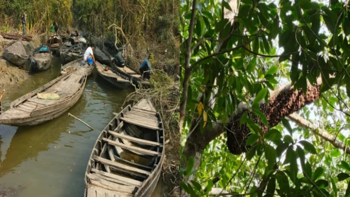 ছবি: বিএমএফ টেলিভিশন।