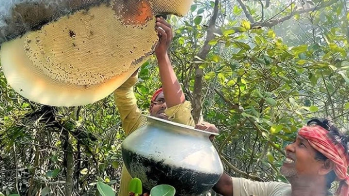 ছবি: বিএমএফ টেলিভিশন।