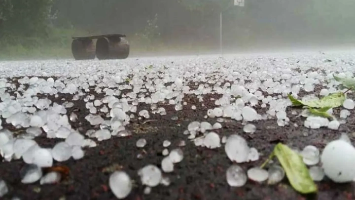 ছবি: সংগৃহীত।