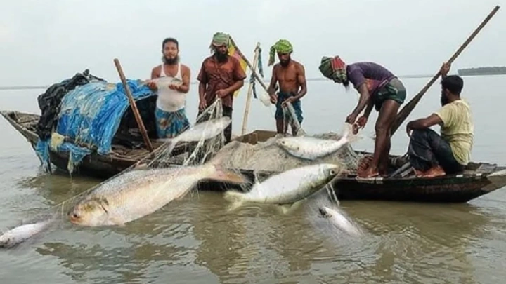 ছবি: বিএমএফ টেলিভিশন।