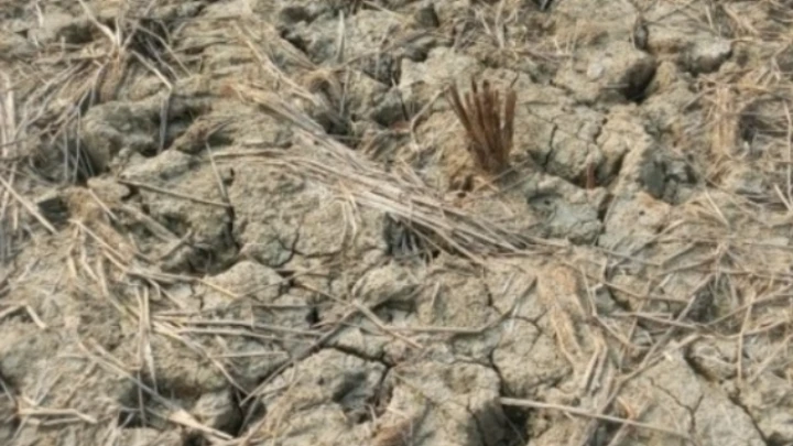 ছবি: বিএমএফ টেলিভিশন।