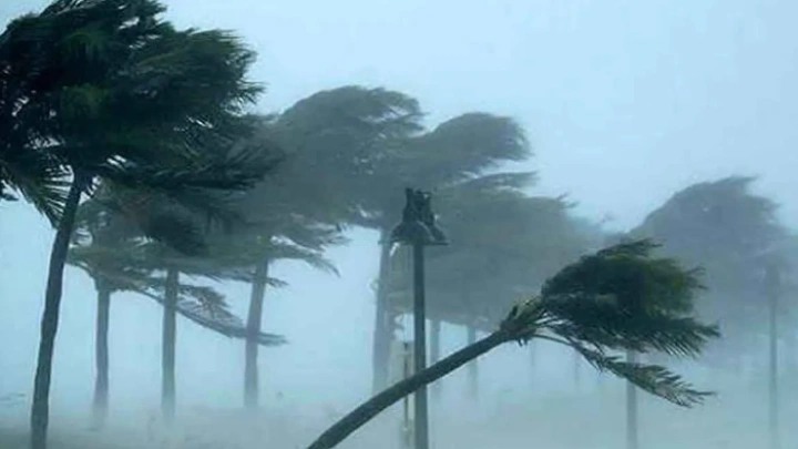 ছবি: সংগৃহীত।