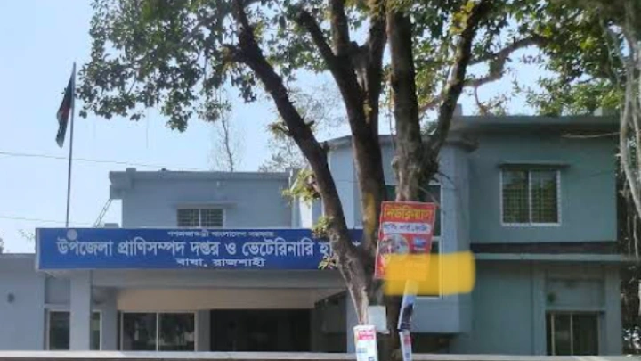 ছবি: বিএমএফ টেলিভিশন।