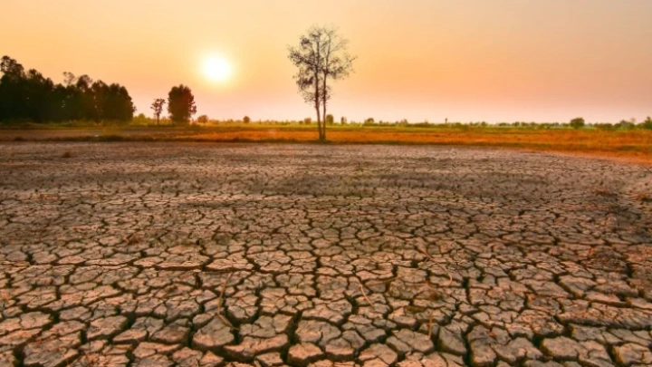 ছবি: সংগৃহীত।