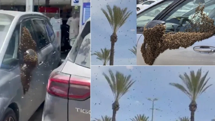 ছবি: সংগৃহীত।