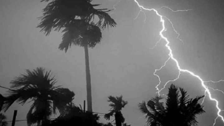 ছবি: সংগৃহীত।