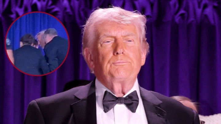 ছবি: সংগৃহীত।