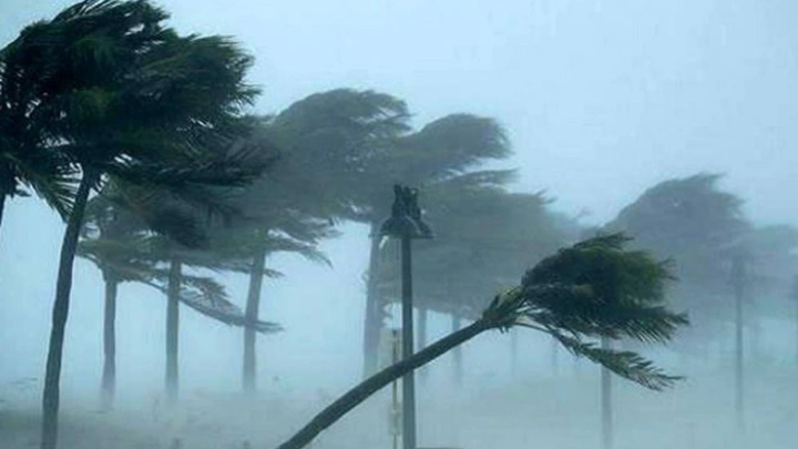 ছবি: সংগৃহীত।