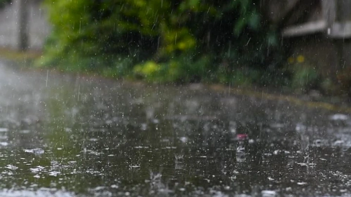 ছবি: সংগৃহীত।
