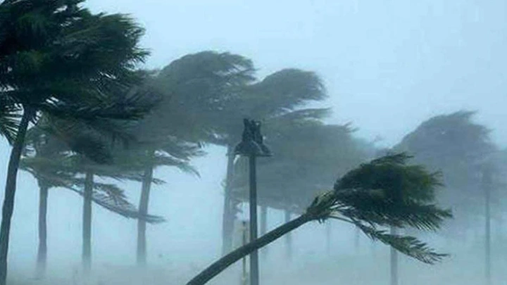 ছবি: সংগৃহীত।