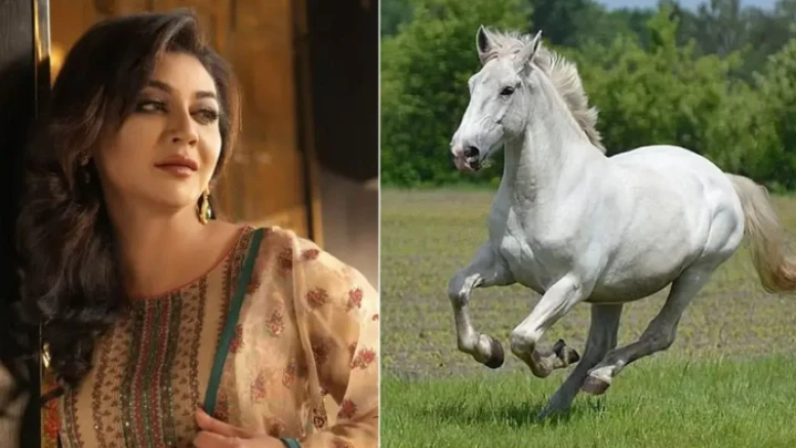 ছবি: সংগৃহীত।