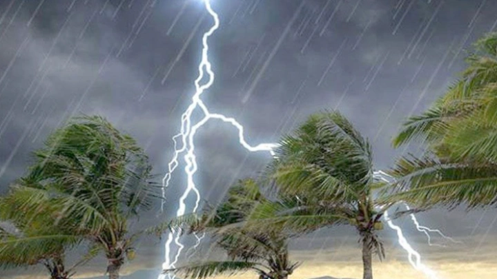 ছবি: সংগৃহীত।