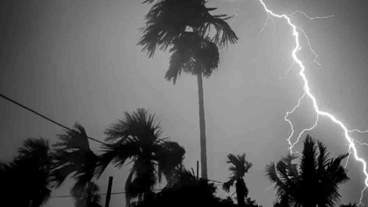 ছবি: সংগৃহীত।