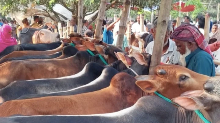 ছবি: বিএমএফ টেলিভিশন।