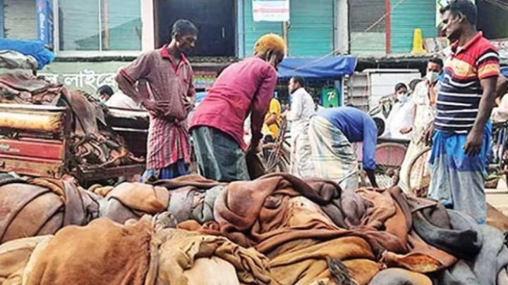 ছবি: সংগৃহীত।