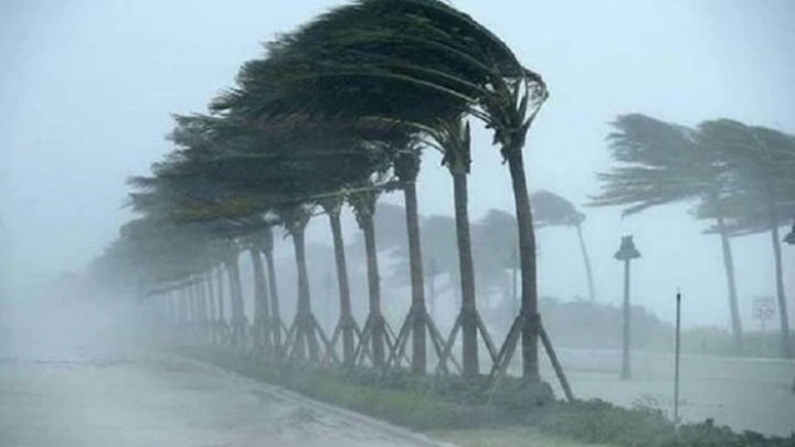 ছবি: সংগৃহীত।