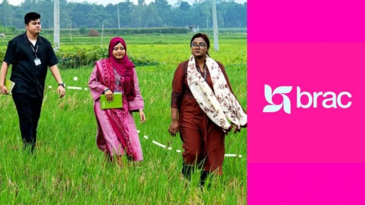 ছবি: সংগৃহীত।