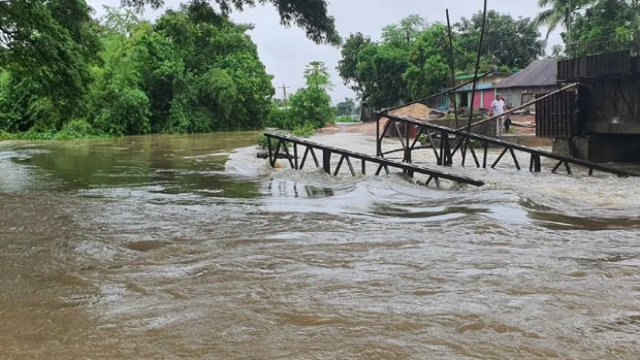 ছবি: সংগৃহীত।