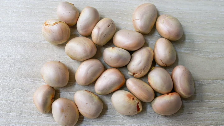 ছবি: সংগৃহীত।