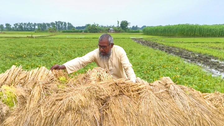 ছবি: বিএমএফ টেলিভিশন।