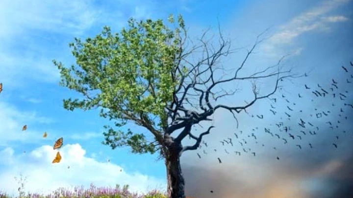 ছবি: সংগৃহীত।