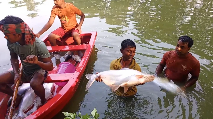 ছবি: বিএমএফ টেলিভিশন।