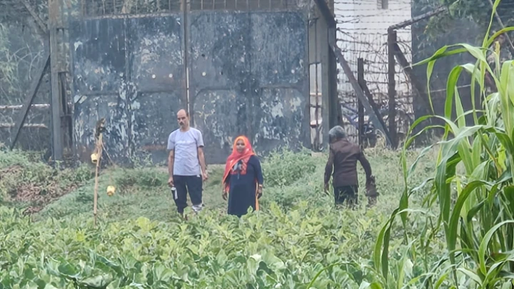 ছবি: বিএমএফ টেলিভিশন।