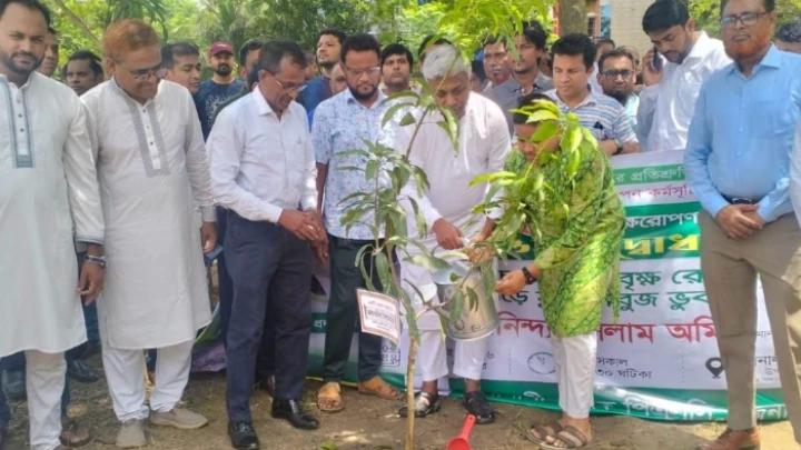 ছবি: সংগৃহীত।