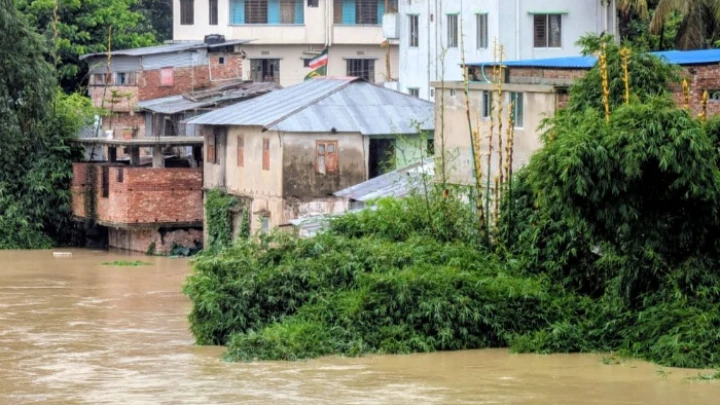 ছবি: সংগৃহীত।