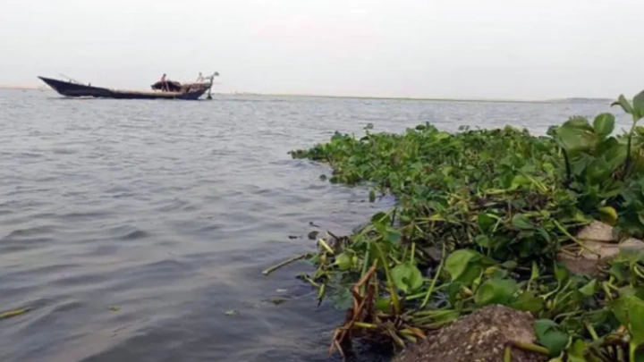 ছবি: সংগৃহীত।