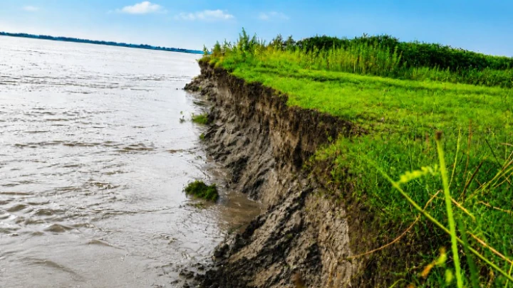 ছবি: সংগৃহীত।