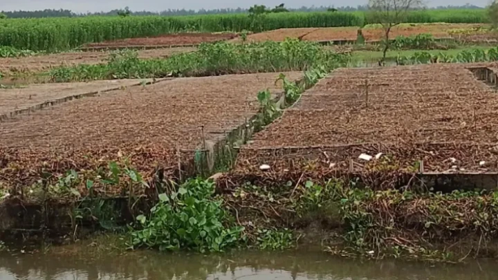 ছবি: সংগৃহীত।