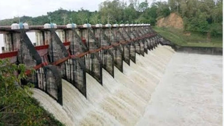 ছবি: সংগৃহীত।