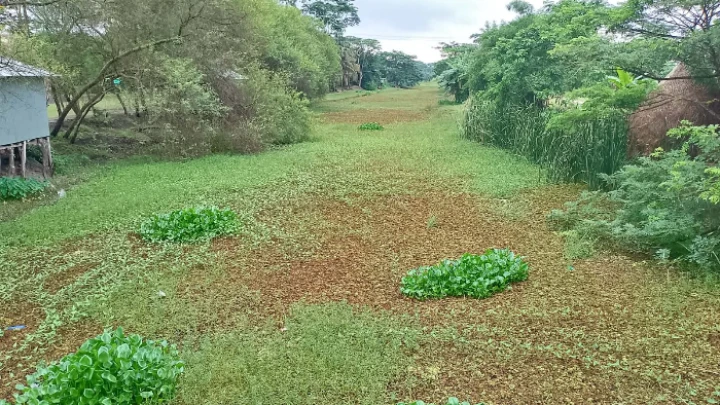 ছবি: বিএমএফ টেলিভিশন।
