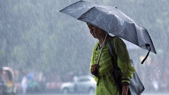 ছবি: সংগৃহীত।
