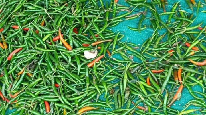 ছবি: সংগৃহীত।