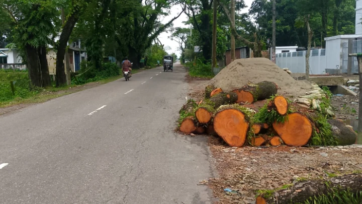 ছবি: সংগৃহীত।